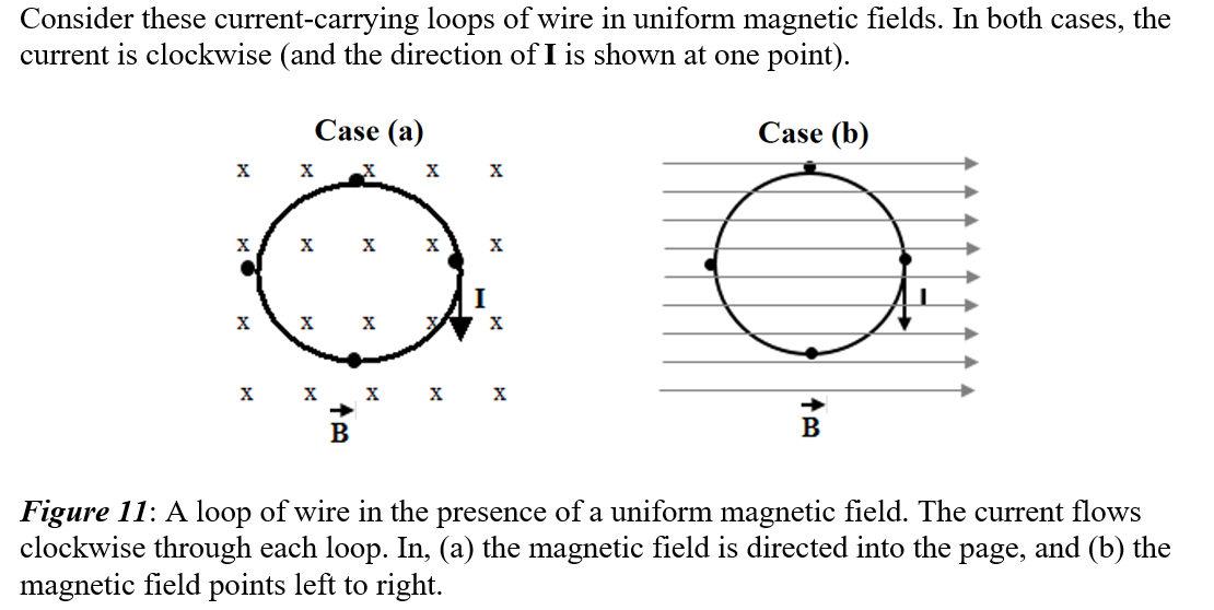 Consider these current-carrying loops of wire in uniform magnetic fields. In both cases, the
current is clockwise (and the direction of I is shown at one point).
Case (a)
Case (b)
X
X
X
X
X
X
X
B
B
Figure 11: A loop of wire in the presence of a uniform magnetic field. The current flows
clockwise through each loop. In, (a) the magnetic field is directed into the page, and (b) the
magnetic field points left to right.
