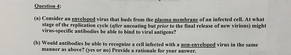 Question 4:
(a) Consider an enveloped virus that buds from the plasma membrane of an infected cell. At what
stage of the replication cycle (after uncoating but prior to the final release of new virions) might
virus-specific antibodies be able to bind to viral antigens?
(b) Would antibodies be able to recognize a cell infected with a non-enveloped virus in the same
manner as above? (yes or no) Provide a rationale for your answer.
