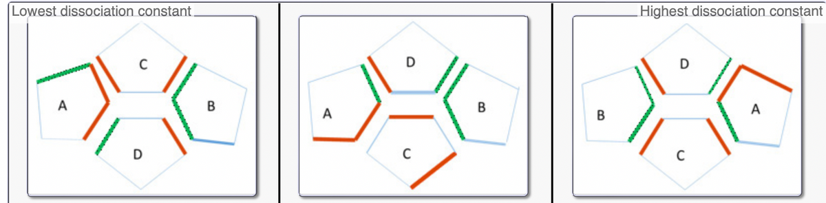 Lowest dissociation constant.
X
A
D
B
Highest dissociation constant
D