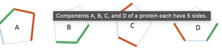 A
Components A, B, C, and D of a protein each have 5 sides.
B
C
D