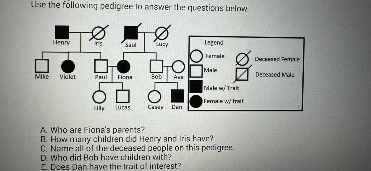 Use the following pedigree to answer the questions below.
Mike
Henry
Violet
Ø
Iris
Saul
Paul Fiona
Lilly Lucas
V
FUE
Lucy
P. Tandickey an
TORSHOW GIE
Bob
Sey Bun
O
Ava
Casey Dan
Legend
Female
Male
음
Male w/ Trait
Female w/ trait
A. Who are Fiona's parents?
B. How many children did Henry and Iris have?
C. Name all of the deceased people on this pedigree.
D. Who did Bob have children with?
E. Does Dan have the trait of interest?
Deceased Female
Deceased Male