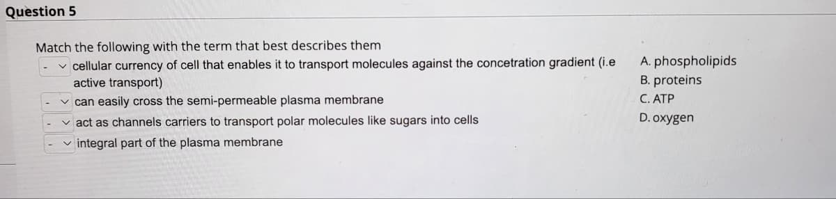 Question 5
Match the following with the term that best describes them
✓cellular currency of cell that enables it to transport molecules against the concetration gradient (i.e
active transport)
✓can easily cross the semi-permeable plasma membrane
✓act as channels carriers to transport polar molecules like sugars into cells
integral part of the plasma membrane
A. phospholipids
B. proteins
C. ATP
D. oxygen