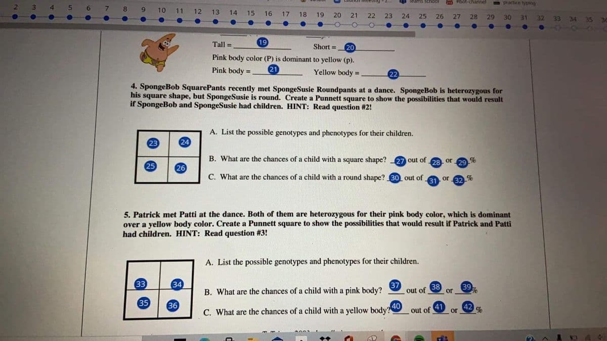 teams school
D bot-channel
practice typing
2 3
5 6
7.
8
10 11 12
13
14
15
16
17
18
19
20 21
22
23
24
25
26
27
28
29
30
31
32 33 34 35 3E
110
Tall =
19
20
Pink body color (P) is dominant to yellow (p).
Short =
%3D
Pink body =
21
Yellow body =
%3!
22
4. SpongeBob SquarePants recently met SpongeSusie Roundpants at a dance. SpongeBob is heterozygous for
his square shape, but SpongeSusie is round. Create a Punnett square to show the possibilities that would result
if SpongeBob and SpongeSusie had children. HINT: Read question #2!
A. List the possible genotypes and phenotypes for their children.
23
24
B. What are the chances of a child with a square shape? 27 out of
28
9 %
25
26
or
29
C. What are the chances of a child with a round shape? 30 out of
31 or 32
%
5. Patrick met Patti at the dance. Both of them are heterozygous for their pink body color, which is dominant
over a yellow body color. Create a Punnett square to show the possibilities that would result if Patrick and Patti
had children. HINT: Read question #3!
A. List the possible genotypes and phenotypes for their children.
33
(34)
37
out of
38
or
B. What are the chances of a child with a pink body?
35
36
40
42
41
or
C. What are the chances of a child with a yellow body
out of
%
2001.
