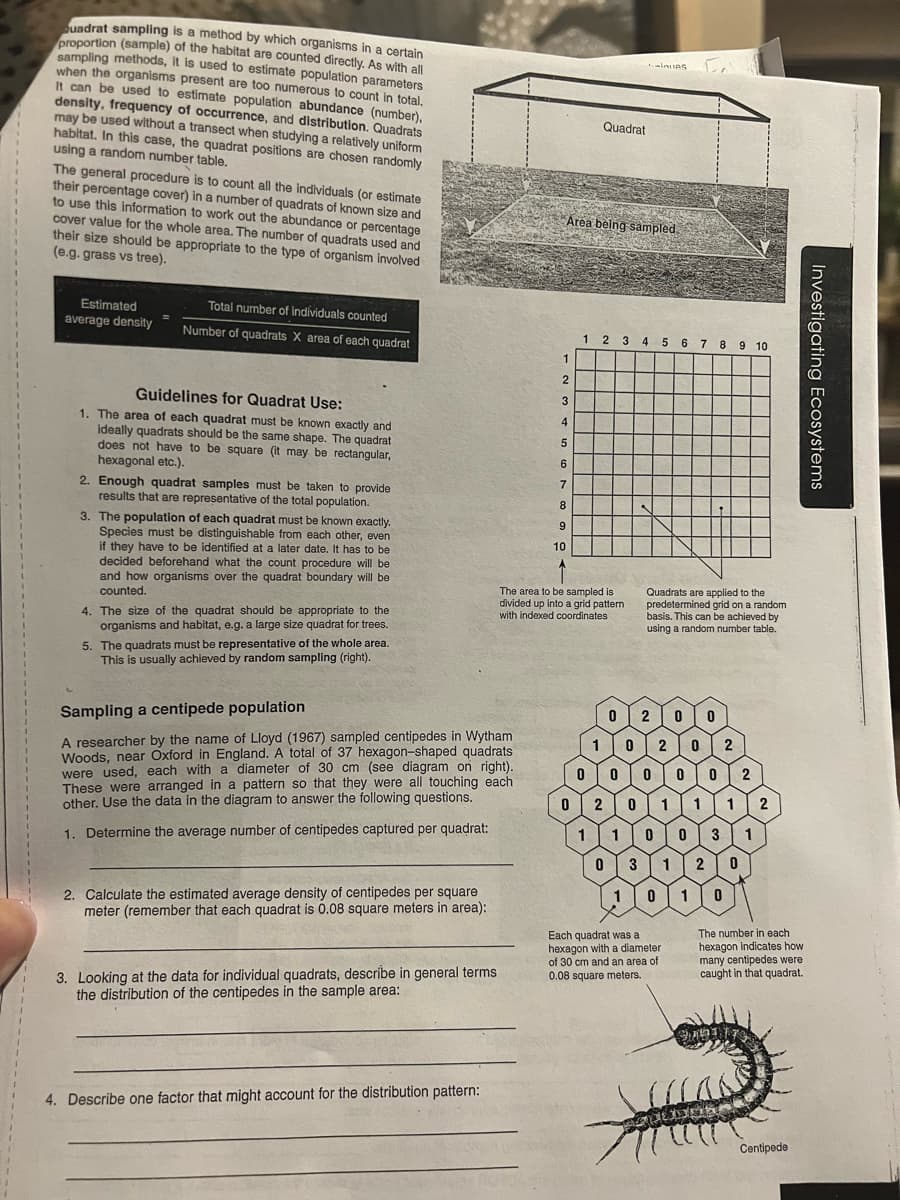 Quadrat sampling is a method by which organisms in a certain
proportion (sample) of the habitat are counted directly. As with all
sampling methods, it is used to estimate population parameters
when the organisms present are too numerous to count in total.
It can be used to estimate population abundance (number),
density, frequency of occurrence, and distribution. Quadrats
may be used without a transect when studying a relatively uniform
habitat. In this case, the quadrat positions are chosen randomly
using a random number table.
The general procedure is to count all the individuals (or estimate
their percentage cover) in a number of quadrats of known size and
to use this information to work out the abundance or percentage
cover value for the whole area. The number of quadrats used and
their size should be appropriate to the type of organism involved
(e.g. grass vs tree).
Estimated
average density
Total number of individuals counted
Number of quadrats X area of each quadrat
Guidelines for Quadrat Use:
1. The area of each quadrat must be known exactly and
ideally quadrats should be the same shape. The quadrat
does not have to be square (it may be rectangular,
hexagonal etc.).
2. Enough quadrat samples must be taken to provide
results that are representative of the total population.
3. The population of each quadrat must be known exactly.
Species must be distinguishable from each other, even
if they have to be identified at a later date. It has to be
decided beforehand what the count procedure will be
and how organisms over the quadrat boundary will be
counted.
4. The size of the quadrat should be appropriate to the
organisms and habitat, e.g. a large size quadrat for trees.
5. The quadrats must be representative of the whole area.
This is usually achieved by random sampling (right).
Sampling a centipede population
A researcher by the name of Lloyd (1967) sampled centipedes in Wytham
Woods, near Oxford in England. A total of 37 hexagon-shaped quadrats.
were used, each with a diameter of 30 cm (see diagram on right).
These were arranged in a pattern so that they were all touching each
other. Use the data in the diagram to answer the following questions.
1. Determine the average number of centipedes captured per quadrat:
2. Calculate the estimated average density of centipedes per square
meter (remember that each quadrat is 0.08 square meters in area):
3. Looking at the data for individual quadrats, describe in general terms
the distribution of the centipedes in the sample area:
4. Describe one factor that might account for the distribution pattern:
1
2
3
4
5
6
7
8
9
10
Quadrat
Area being sampled
The area to be sampled is
divided up into a grid pattern
with indexed coordinates
LIGUAS
1 2 3 4 5 6 7 8 9 10
0
Quadrats are applied to the
predetermined grid on a random
basis. This can be achieved by
using a random number table.
2 0
1
0 2 0 2
0 0
000
2
0 2 0 1 1 1 2
1
1 0
0
3 1
0 3
1 0
1
Each quadrat was a
hexagon with a diameter
of 30 cm and an area of
0.08 square meters.
1
2 0
0
The number in each
hexagon indicates how
many centipedes were
caught in that quadrat.
Soline
Centipede
Investigating Ecosystems