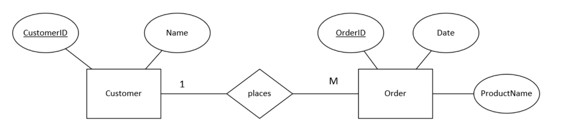 CustomerID
Customer
Name
1
places
OrderID
M
Order
Date
ProductName