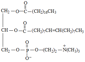 ||
CH, -0-C-(CH2)16CH3
CH -0-C-(CH),CH=CH(CH),CH3
+
CH, -0-P-0(CH)2 – N(CH;)3
