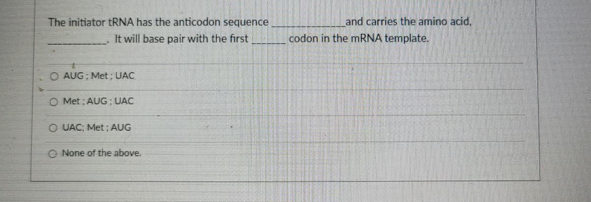 The initiator tRNA has the anticodon sequence
It will base pair with the first
AUG: Met: UAC
Met: AUG; UAC
O UAC: Met: AUG
None of the above.
and carries the amino acid.
codon in the mRNA template.