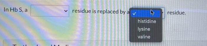 In Hb S, a
residue is replaced by a y
residue.
histidine
lysine
valine
