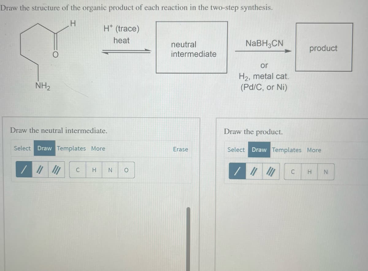 Draw the structure of the organic product of each reaction in the two-step synthesis.
H
NH₂
Draw the neutral intermediate.
H* (trace)
heat
Select Draw Templates More
/ ||| |||
C
H N
O
neutral
intermediate
Erase
NaBH3CN
or
H₂, metal cat.
(Pd/C, or Ni)
Draw the product.
product
Select Draw Templates More
C H N