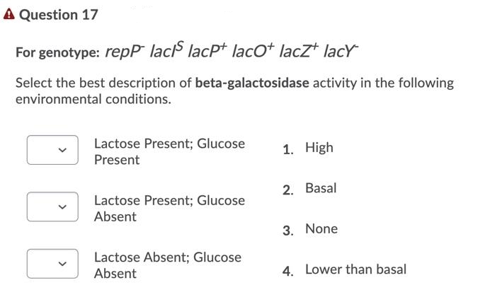 A Question 17
For genotype: repP lac lacP+ laco+ laczt lacY
Select the best description of beta-galactosidase activity in the following
environmental conditions.
Lactose Present; Glucose
Present
1. High
2. Basal
Lactose Present; Glucose
Absent
3. None
Lactose Absent; Glucose
Absent
4. Lower than basal
>
