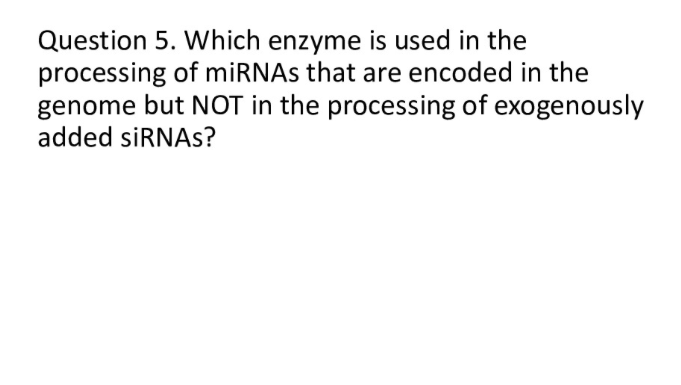 Question 5. Which enzyme is used in the
processing of miRNAs that are encoded in the
genome but NOT in the processing of exogenously
added siRNAs?
