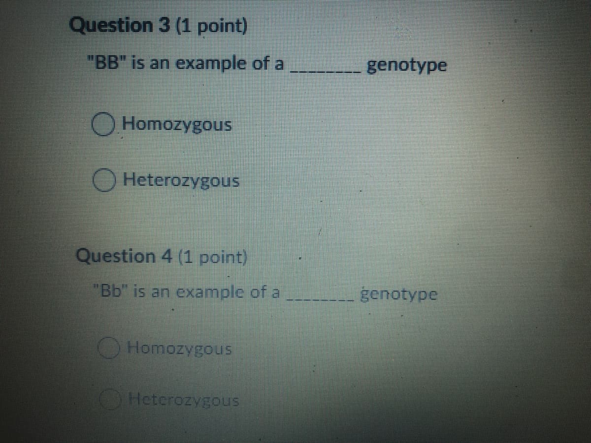 Question 3 (1 point)
"BB" is an example of a
genotype
O Homozygous
Heterozygous
Question 4 (1 point)
"Bb" is an example of a
senotype
Homozygous
Heterezygous
