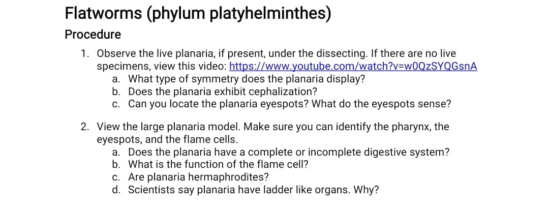 Flatworms (phylum platyhelminthes)
Procedure
1. Observe the live planaria, if present, under the dissecting. If there are no live
specimens, view this video: https://www.youtube.com/watch?v=w0QzSYQGsnA
a. What type of symmetry does the planaria display?
b. Does the planaria exhibit cephalization?
c. Can you locate the planaria eyespots? What do the eyespots sense?
2. View the large planaria model. Make sure you can identify the pharynx, the
eyespots, and the flame cells.
a. Does the planaria have a complete or incomplete digestive system?
b. What is the function of the flame cell?
c. Are planaria hermaphrodites?
d. Scientists say planaria have ladder like organs. Why?
