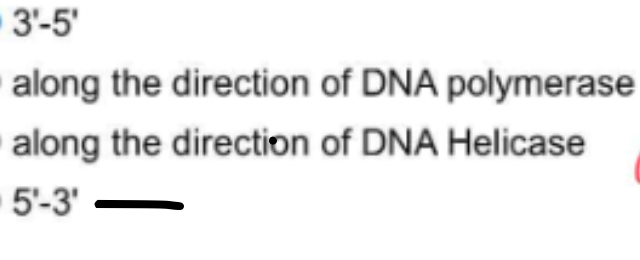 3'-5'
along the direction of DNA polymerase
along the direction of DNA Helicase
5'-3'
