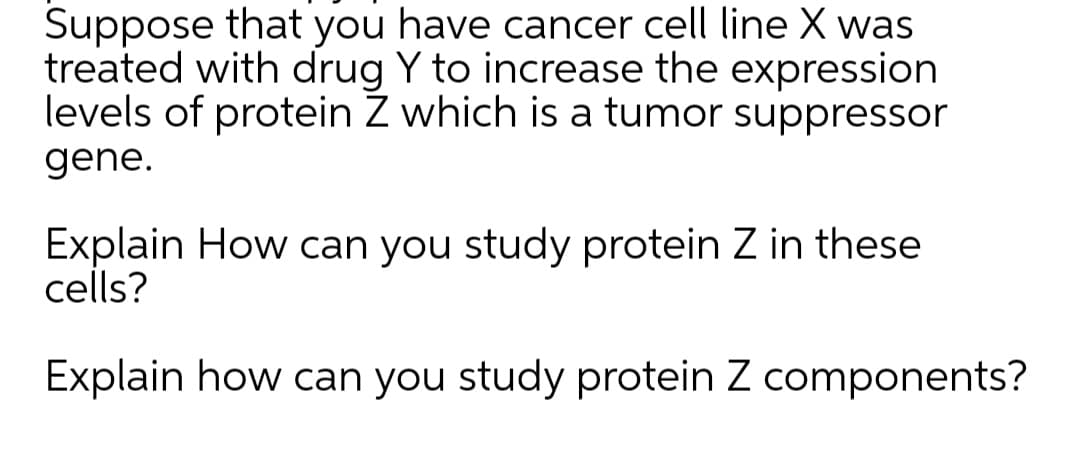 Suppose that you have cancer cell line X was
treated with drug Y to increase the expression
levels of protein Z which is a tumor suppressor
gene.
Explain How can you study protein Z in these
cells?
Explain how can you study protein Z components?
