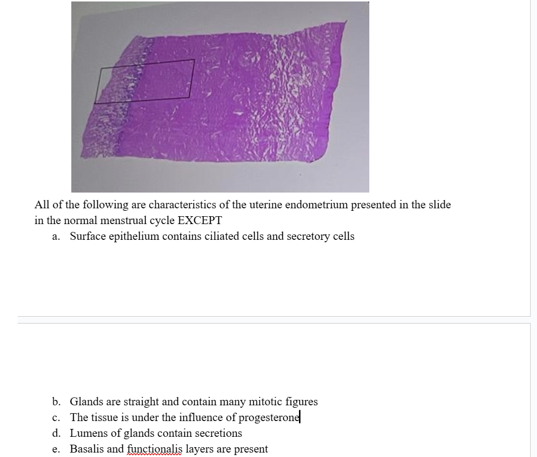 All of the following are characteristics of the uterine endometrium presented in the slide
in the normal menstrual cycle EXCEPT
a. Surface epithelium contains ciliated cells and secretory cells
b. Glands are straight and contain many mitotic figures
c. The tissue is under the influence of progesterone
d. Lumens of glands contain secretions
e. Basalis and functionalis layers are present