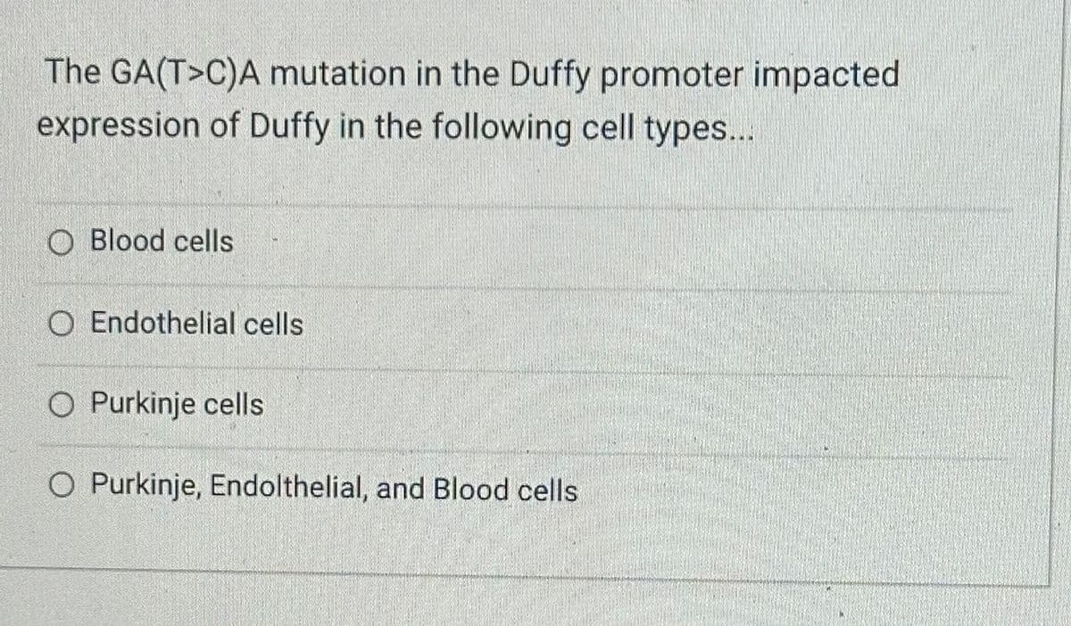 The GA(T>C)A mutation in the Duffy promoter impacted
expression of Duffy in the following cell types...
O Blood cells
O Endothelial cells
O Purkinje cells
O Purkinje, Endolthelial, and Blood cells.