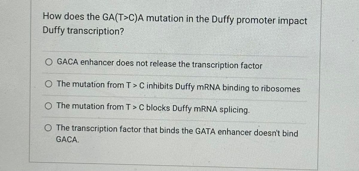 How does the GA(T>C)A mutation in the Duffy promoter impact
Duffy transcription?
GACA enhancer does not release the transcription factor
O The mutation from T > C inhibits Duffy mRNA binding to ribosomes
O The mutation from T > C blocks Duffy mRNA splicing.
O The transcription factor that binds the GATA enhancer doesn't bind
GACA.