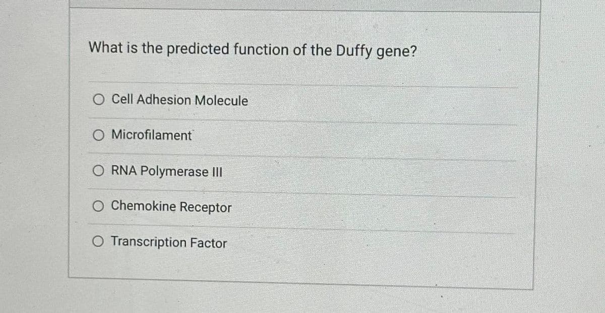 What is the predicted function of the Duffy gene?
O Cell Adhesion Molecule
O Microfilament
RNA Polymerase III
O Chemokine Receptor
O Transcription Factor