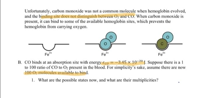 Unfortunately, carbon monoxide was not a common molecule when hemoglobin evolved,
and the binding site does not distinguish between Oz and Co. When carbon monoxide is
present, it can bind to some of the available hemoglobin sites, which prevents the
hemoglobin from carrying oxygen.
Fo*
Fe*
Fe*
B. CO binds at an absorption site with energy €co = -3.45 × 10-20 J. Suppose there is a 1
to 100 ratio of CO to O2 present in the blood. For simplicity's sake, assume there are now
100 Oz molecules available to bind.
1. What are the possible states now, and what are their multiplicities?
