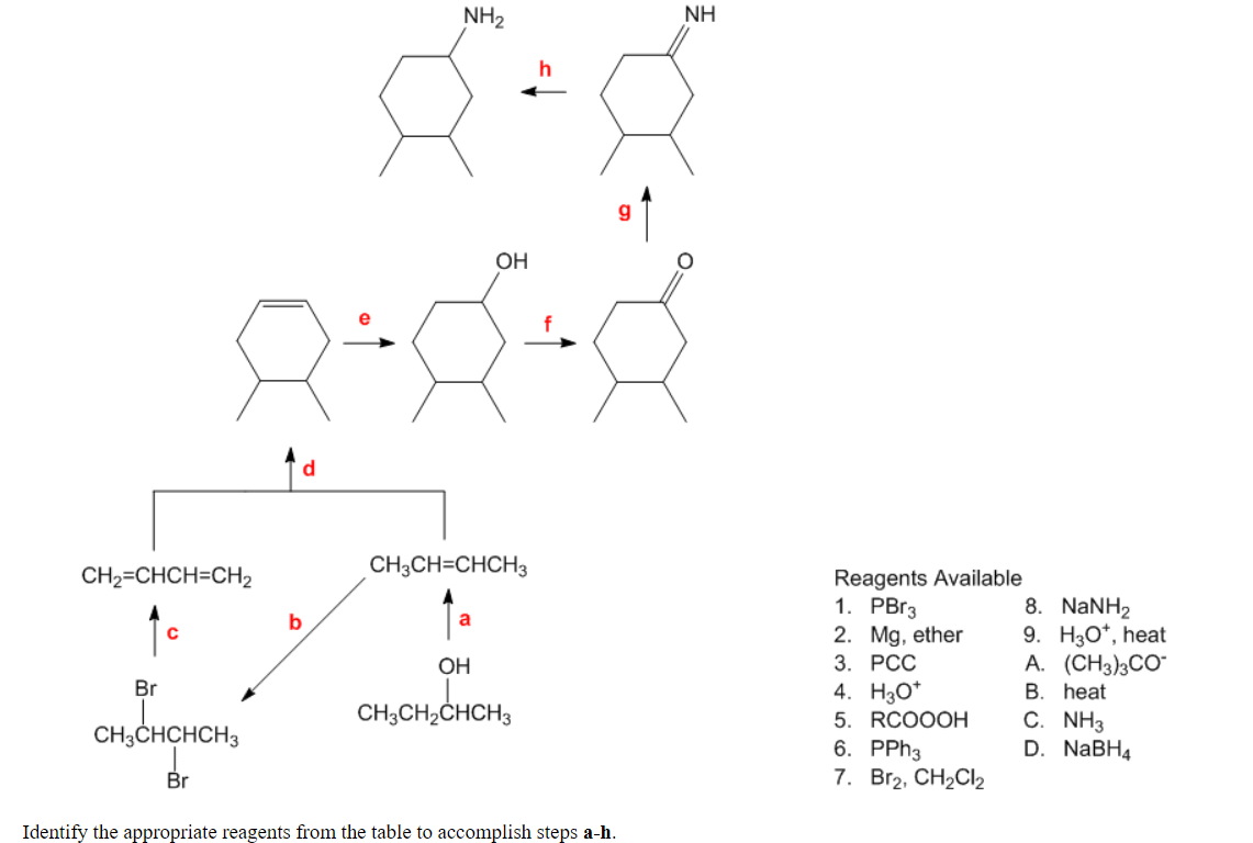 NH2
NH
OH
CH2=CHCH=CH2
CH3CH=CHCH3
Reagents Available
1. PBr3
2. Mg, ether
3. РСС
8. NANH2
9. H30*, heat
A. (CH3)3CO
B. heat
C. NH3
D. NaBH4
b
a
OH
Br
4. Hо"
5. RCO0OH
6. PPH3
7. Br2, CH2CI2
CH3CH2CHCH3
CH3CHCHCH3
Br
Identify the appropriate reagents from the table to accomplish steps a-h.
