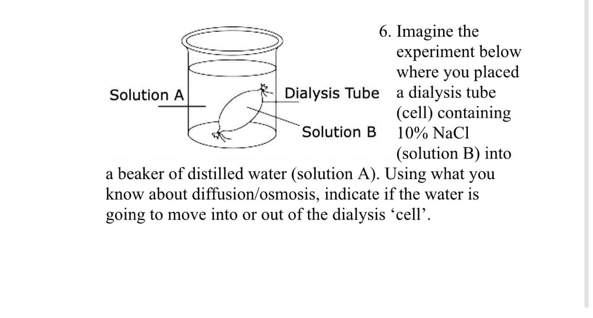 6. Imagine the
experiment below
where you placed
a dialysis tube
(cell) containing
Solution A
Dialysis Tube
Solution B
10% NaCl
(solution B) into
a beaker of distilled water (solution A). Using what you
know about diffusion/osmosis, indicate if the water is
going to move into or out of the dialysis 'cell'.
