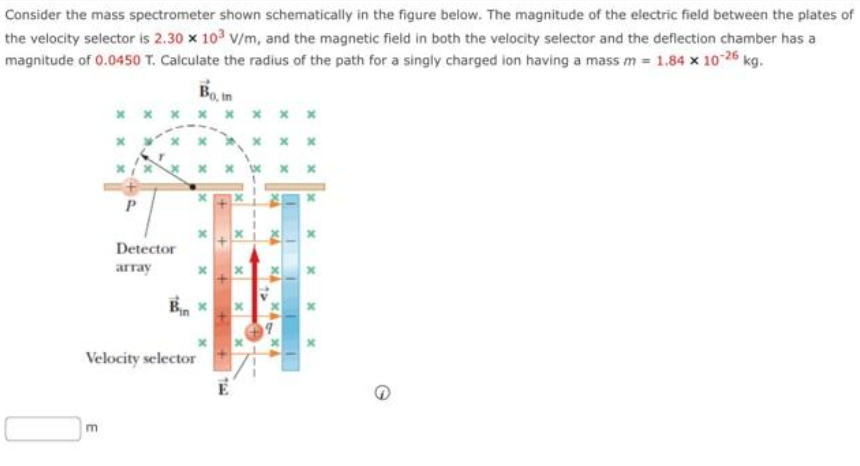 Consider the mass spectrometer shown schematically in the figure below. The magnitude of the electric field between the plates of
the velocity selector is 2.30 x 103 V/m, and the magnetic field in both the velocity selector and the deflection chamber has a
magnitude of 0.0450 T. Calculate the radius of the path for a singly charged ion having a mass m = 1.84 x 10-26 kg.
Bo, in
x
E
P
Detector
array
Bin
Velocity selector
xxxx
YX
x/
x