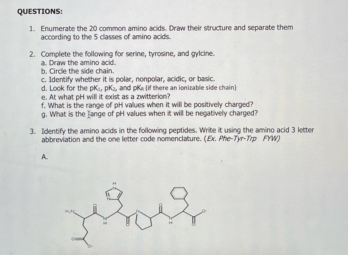 QUESTIONS:
1. Enumerate the 20 common amino acids. Draw their structure and separate them
according to the 5 classes of amino acids.
2. Complete the following for serine, tyrosine, and gylcine.
a. Draw the amino acid.
b. Circle the side chain.
c. Identify whether it is polar, nonpolar, acidic, or basic.
d. Look for the pK₁, pk2, and PKR (if there an ionizable side chain)
e. At what pH will it exist as a zwitterion?
f. What is the range of pH values when it will be positively charged?
g. What is the lange of pH values when it will be negatively charged?
3. Identify the amino acids in the following peptides. Write it using the amino acid 3 letter
abbreviation and the one letter code nomenclature. (Ex. Phe-Tyr-Trp FYW)
A.
H₂N