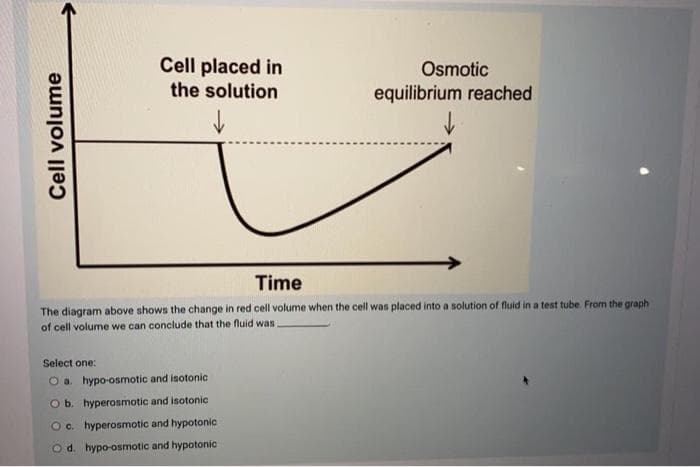 Cell placed in
Osmotic
the solution
equilibrium reached
Time
The diagram above shows the change in red cell volume when the cell was placed into a solution of fluid in a test tube. From the graph
of cell volume we can conclude that the fluid was
Select one:
Oa. hypo-osmotic and isotonic
O b. hyperosmotic and isotonic
Oc. hyperosmotic and hypotonic
O d. hypo-osmotic and hypotonic
Cell volume
