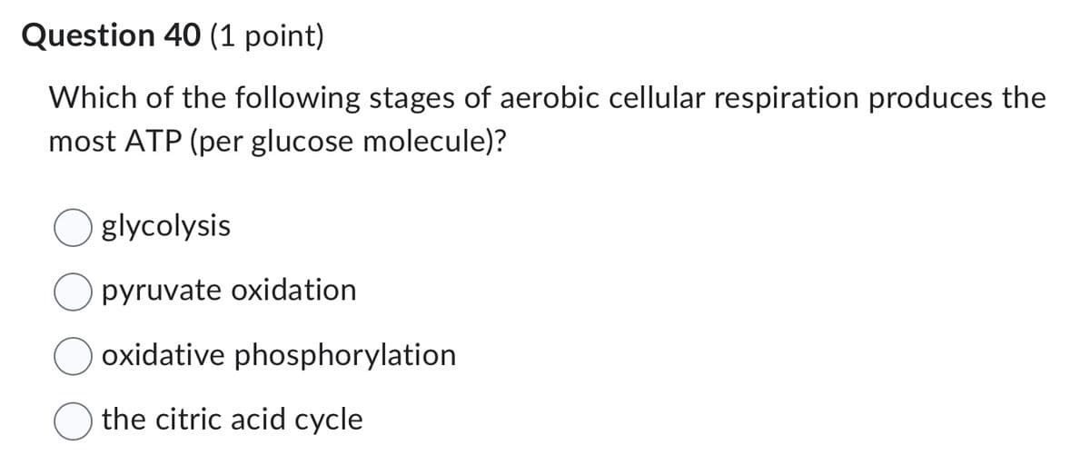 Question 40 (1 point)
Which of the following stages of aerobic cellular respiration produces the
most ATP (per glucose molecule)?
glycolysis
pyruvate oxidation
oxidative phosphorylation
the citric acid cycle