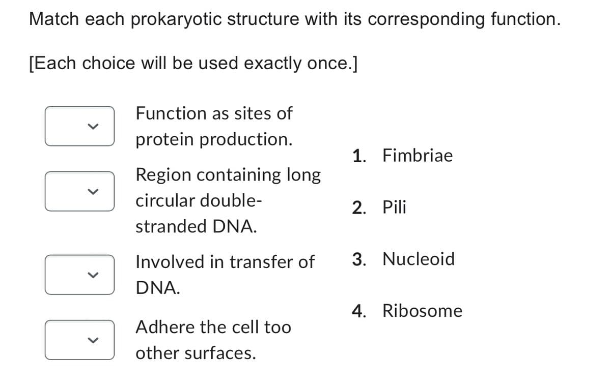 Match each prokaryotic structure with its corresponding function.
[Each choice will be used exactly once.]
00
Function as sites of
protein production.
Region containing long
circular double-
stranded DNA.
Involved in transfer of
DNA.
Adhere the cell too
other surfaces.
1. Fimbriae
2. Pili
3. Nucleoid
4. Ribosome