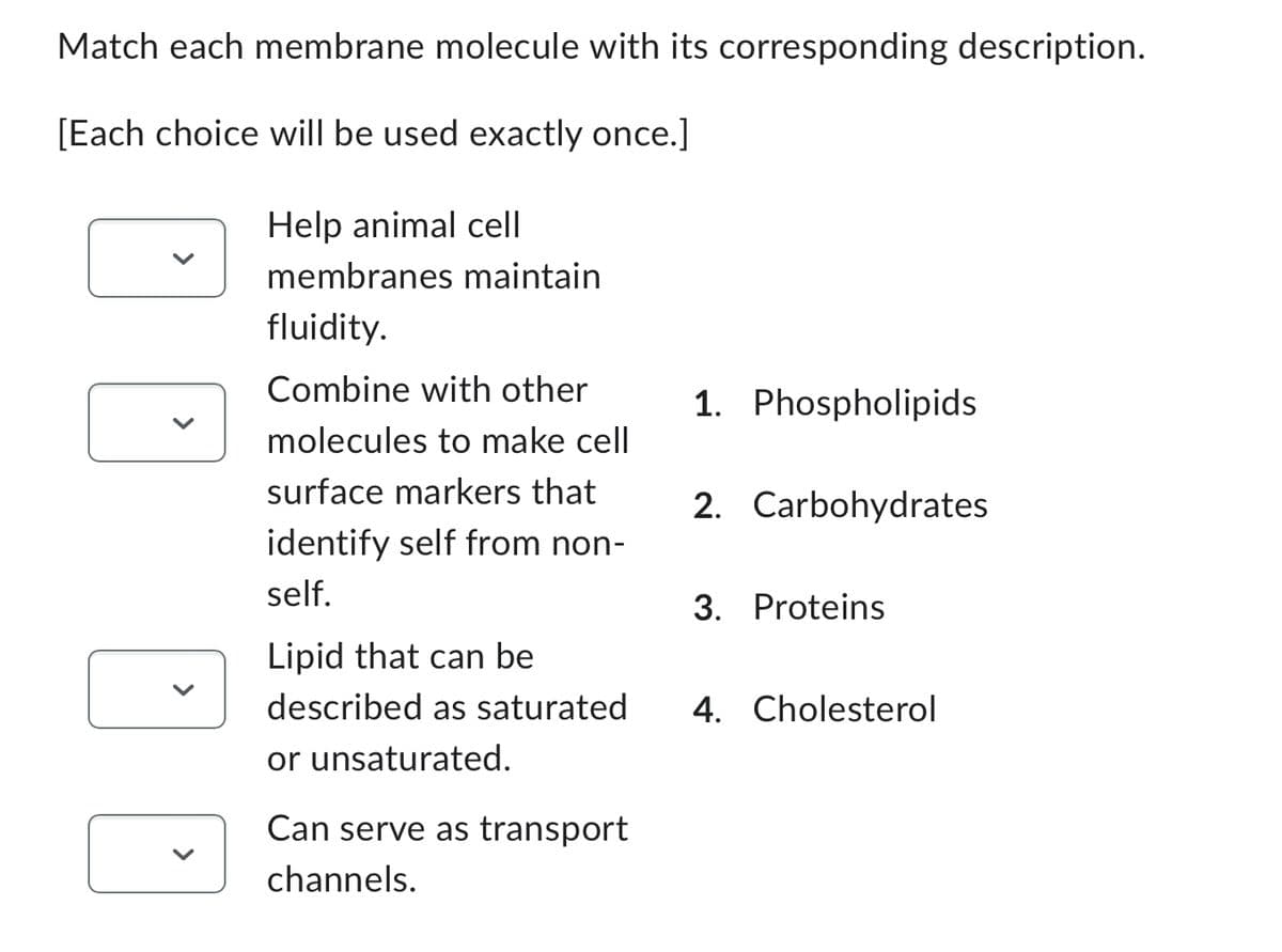 Match each membrane molecule with its corresponding description.
[Each choice will be used exactly once.]
Help animal cell
membranes maintain
fluidity.
Combine with other
molecules to make cell
surface markers that
identify self from non-
self.
Lipid that can be
described as saturated
or unsaturated.
Can serve as transport
channels.
1. Phospholipids
2. Carbohydrates
3. Proteins
4. Cholesterol
