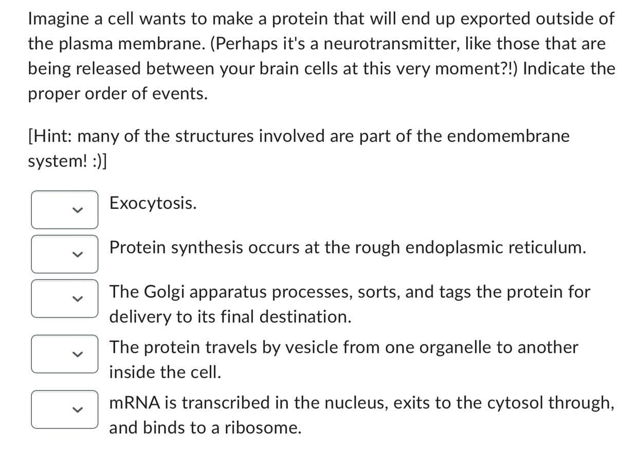 Imagine a cell wants to make a protein that will end up exported outside of
the plasma membrane. (Perhaps it's a neurotransmitter, like those that are
being released between your brain cells at this very moment?!) Indicate the
proper order of events.
[Hint: many of the structures involved are part of the endomembrane
system! :)]
DD
Exocytosis.
Protein synthesis occurs at the rough endoplasmic reticulum.
The Golgi apparatus processes, sorts, and tags the protein for
delivery to its final destination.
The protein travels by vesicle from one organelle to another
inside the cell.
mRNA is transcribed in the nucleus, exits to the cytosol through,
and binds to a ribosome.