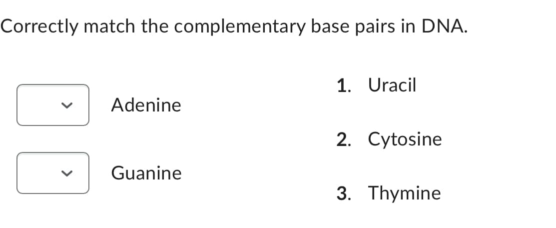 Correctly match the complementary base pairs in DNA.
Adenine
Guanine
1. Uracil
2. Cytosine
3. Thymine
