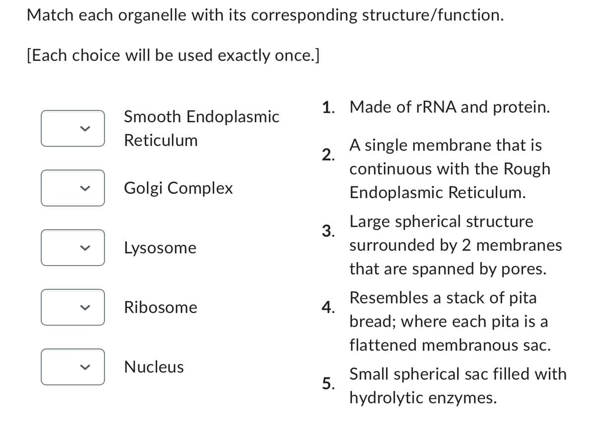 Match each organelle with its corresponding structure/function.
[Each choice will be used exactly once.]
DOD
Smooth Endoplasmic
Reticulum
Golgi Complex
Lysosome
Ribosome
Nucleus
1. Made of rRNA and protein.
A single membrane that is
continuous with the Rough
Endoplasmic Reticulum.
Large spherical structure
surrounded by 2 membranes
that are spanned by pores.
Resembles a stack of pita
bread; where each pita is a
flattened membranous sac.
Small spherical sac filled with
hydrolytic enzymes.
2.
3.
4.
5.