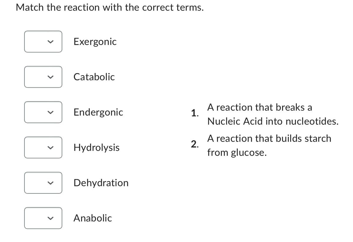 Match the reaction with the correct terms.
Exergonic
Catabolic
Endergonic
Hydrolysis
Dehydration
Anabolic
1.
2.
A reaction that breaks a
Nucleic Acid into nucleotides.
A reaction that builds starch
from glucose.