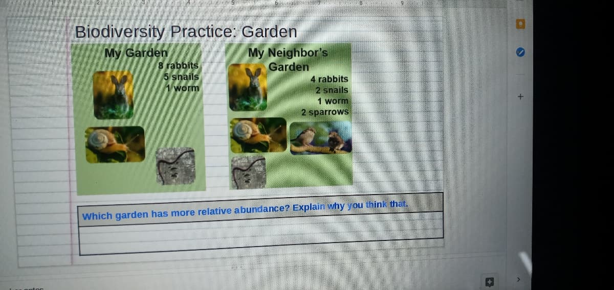 Biodiversity Practice: Garden
My Neighbor's
Garden
My Garden
8 rabbits
5 snails
1 worm
4 rabbits
2 snails
1 worm
2 sparrows
Which garden has more relative abundance? Explain why you think that.
