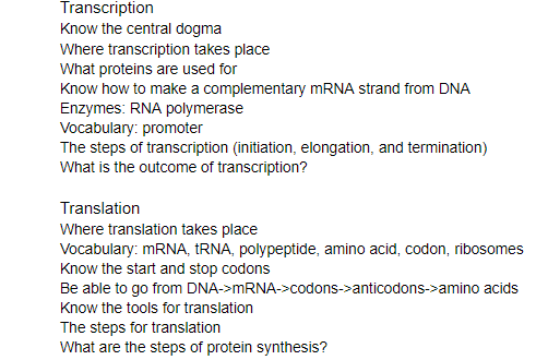 Transcription
Know the central dogma
Where transcription takes place
What proteins are used for
Know how to make a complementary MRNA strand from DNA
Enzymes: RNA polymerase
Vocabulary: promoter
The steps of transcription (initiation, elongation, and termination)
What is the outcome of transcription?
Translation
Where translation takes place
Vocabulary: MRNA, TRNA, polypeptide, amino acid, codon, ribosomes
Know the start and stop codons
Be able to go from DNA->MRNA->codons->anticodons->amino acids
Know the tools for translation
The steps for translation
What are the steps of protein synthesis?
