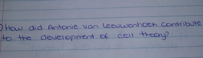 How did Antonie van Leeuuenhoen contribute
to the development of
theory?
cell
