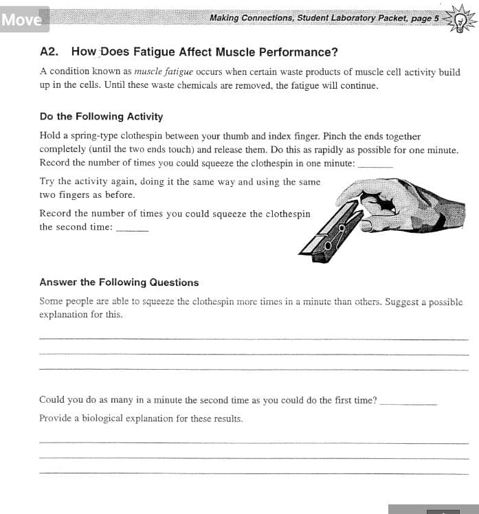Move
Making Connections, Student Laboratory Packet, page 5
A2. How Does Fatigue Affect Muscle Performance?
A condition known as muscle fatigue occurs when certain waste products of muscle cell activity build
up in the cells. Until these waste chemicals are removed, the fatigue will continue.
Do the Following Activity
Hold a spring-type clothespin between your thumb and index finger. Pinch the ends together
completely (until the two ends touch) and release them. Do this as rapidly as possible for one minute.
Record the number of times you could squeeze the clothespin in one minute:
Try the activity again, doing it the same way and using the same
two fingers as before.
Record the number of times you could squeeze the clothespin
the second time:
Answer the Following Questions
Some people are able to squeeze the clothespin more times in a minute than others. Suggest a possible
explanation for this.
Could you do as many in a minute the second time as you could do the first time?
Provide a biological explanation for these results.
