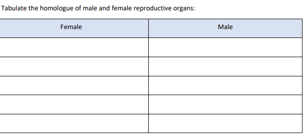Tabulate the homologue of male and female reproductive organs:
Female
Male