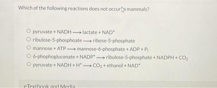 Which of the following reactions does not occur mammals?
pyruvate + NADH-lactate + NAD*
O ribulose-5-phosphoate ribose-5-phosphate
mannose + ATP-mannose-6-phosphate + ADP + P;
O 6-phophogluconate + NADP+ribulose-5-phosphate + NADPH + CO2
O pyruvate + NADH+H*CO₂ + ethanol + NAD+
eTextbook and Media.