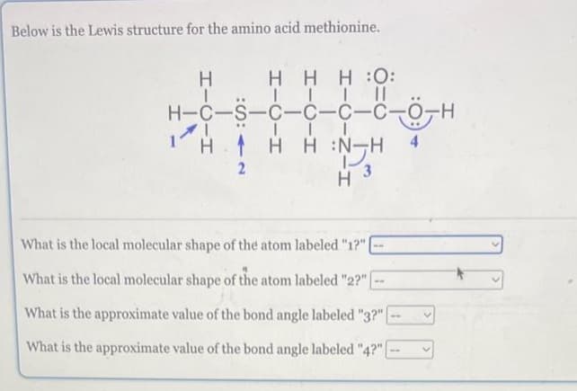 Below is the Lewis structure for the amino acid methionine.
Η Η Η:Ο:
|||||
H-C-S-C-C-C-C-0-H
HẠ H HÌNH
2
H 3
H
What is the local molecular shape of the atom labeled "1?" |
What is the local molecular shape of the atom labeled "2?" [
What is the approximate value of the bond angle labeled "3?"|
What is the approximate value of the bond angle labeled "4?" [
ww
4
V