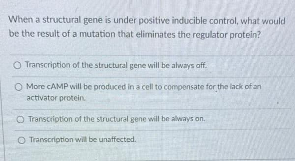 When a structural gene is under positive inducible control, what would
be the result of a mutation that eliminates the regulator protein?
O Transcription of the structural gene will be always off.
O More CAMP will be produced in a cell to compensate for the lack of an
activator protein.
O Transcription of the structural gene will be always on.
O Transcription will be unaffected.