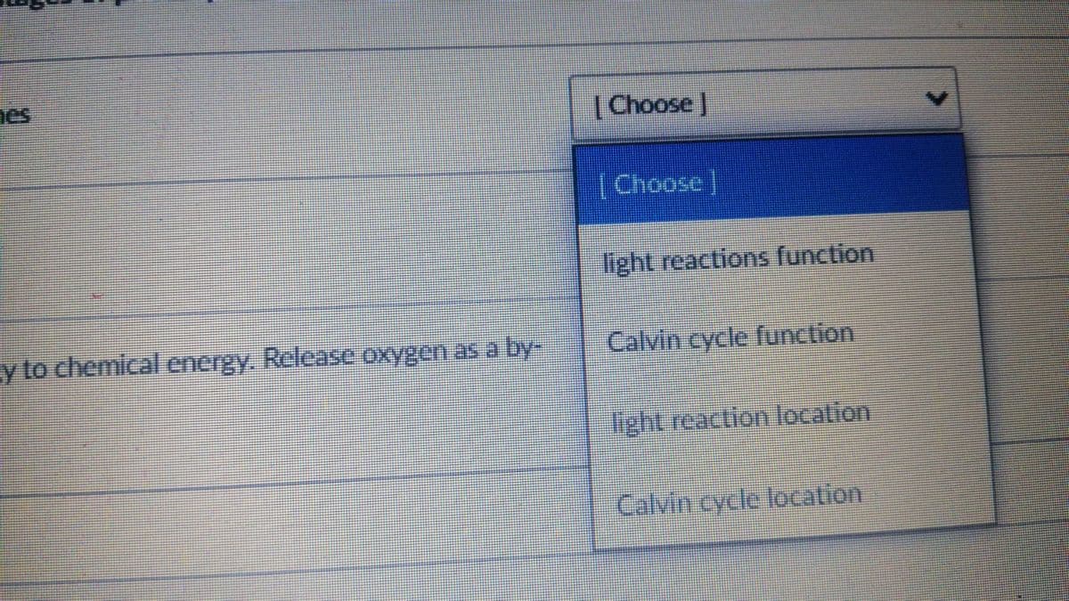 nes
[Choose]
[Choose]
light reactions function
y to chemical energy. Release oxygen asa by-
Calvin cycle function
light reaction location
Calvin cycle location
