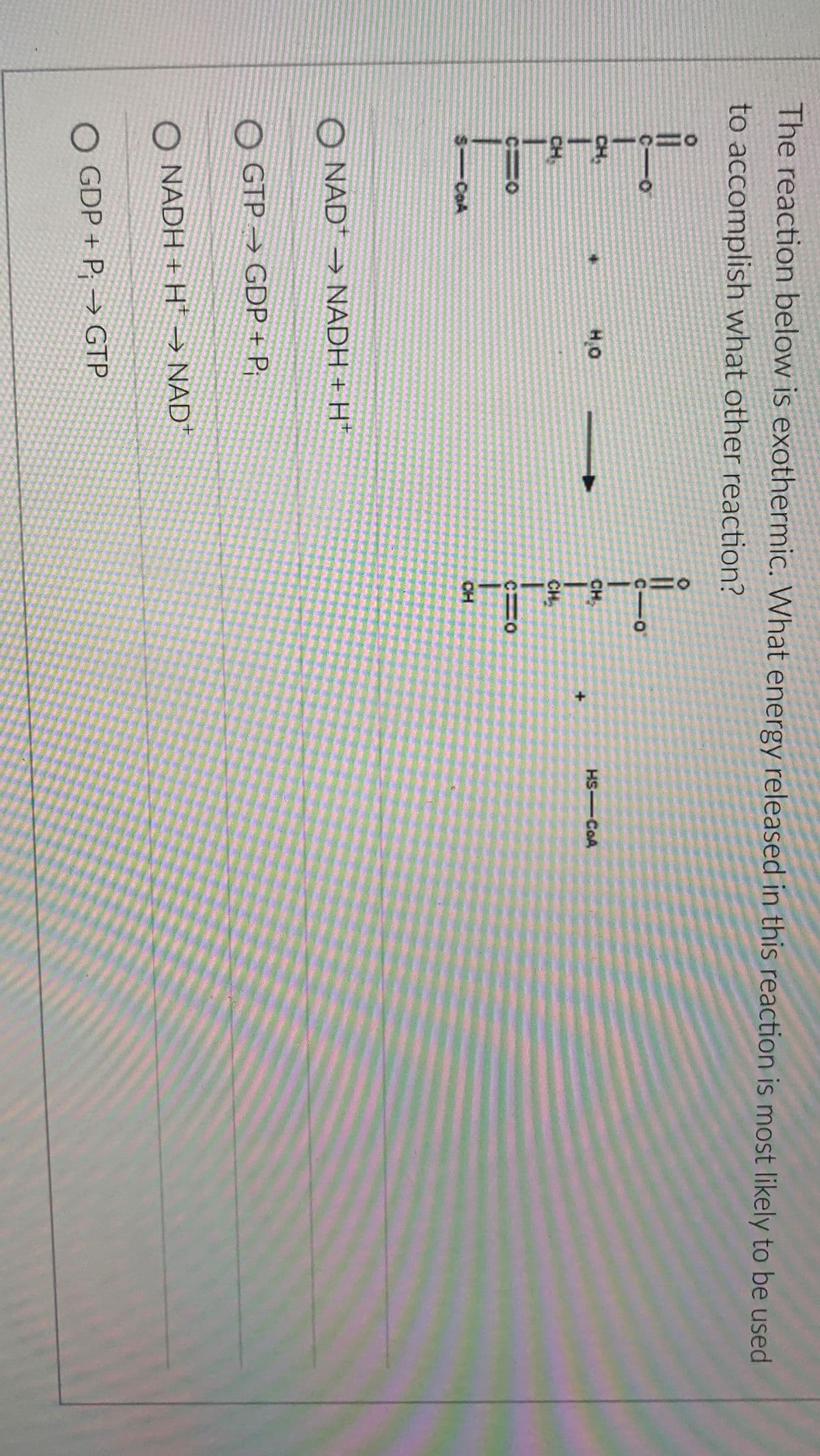 The reaction below is exothermic. What energy released in this reaction is most likely to be used
to accomplish what other reaction?
C-
C O
CH
H₂O
CH
CH
CH
-CoA
O NAD NADH + H+
O GTP GDP + Pi
O NADH+H NAD+
O GDP+ P; GTP
C=O
CH
HS-COA