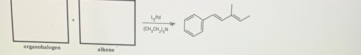 one
4Pd
(CH, CH,),N
organohalogen
alkene
