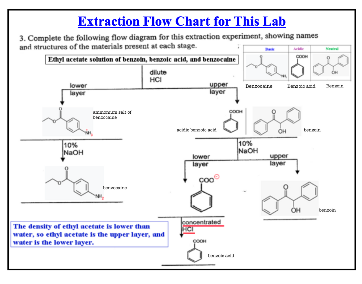 Extraction Flow Chart for This Lab
3. Complete the following flow diagram for this extraction experiment, showing names
and structures of the materials present at each stage.
Ethyl acetate solution of benzoin, benzoic acid, and benzocaine
Basic
Acidic
Neutral
COOH
lower
layer
10%
NaOH
ammonium salt of
benzocaine
NH₂
benzocaine
dilute
HCI
The density of ethyl acetate is lower than
water, so ethyl acetate is the upper layer, and
water is the lower layer.
OH
upper
layer
Benzocaine
Benzoic acid
Benzoin
COOH
acidic benzoic acid
OH
benzoin
10%
NaOH
lower
layer
upper
layer
COO
concentrated
HCI
COOH
benzoic acid
OH
benzoin