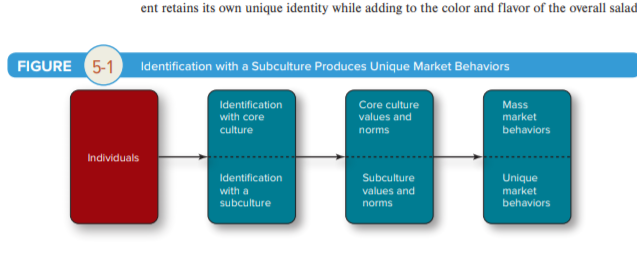 ent retains its own unique identity while adding to the color and flavor of the overall salad
FIGURE 5-1
Identification with a Subculture Produces Unique Market Behaviors
Identification
Core culture
Mass
with core
values and
market
culture
norms
behaviors
Individuals
Identification
Subculture
Unique
with a
values and
market
subculture
norms
behaviors
