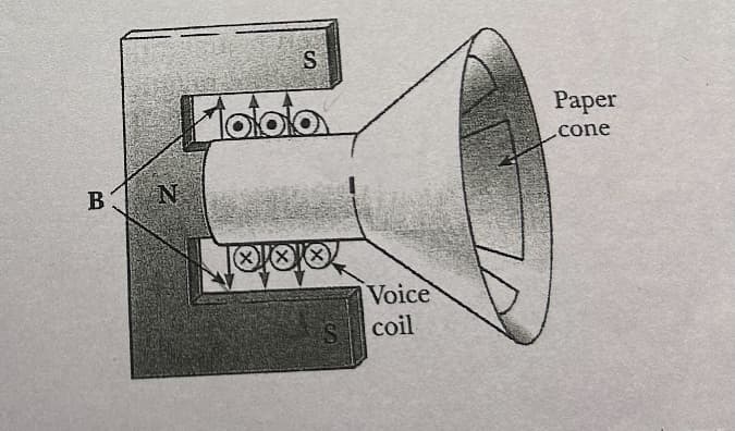 B
N
S
Fotola
बबर
Voice
S coil
Paper
cone